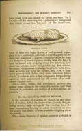 Thumbnail of Roast Saddle of Mutton recipe